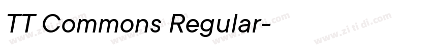 TT Commons Regular字体转换
